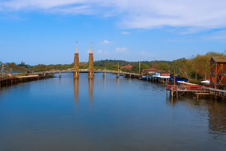 Hutan Mangrove Kulonprogo - Yogyakarta